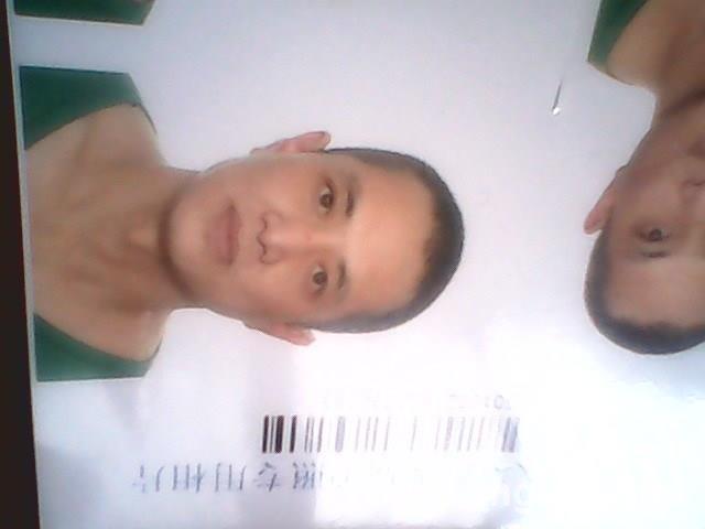 自由人生的头像