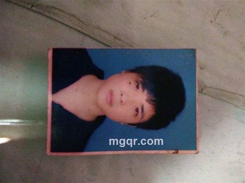 月阳踏雪的头像