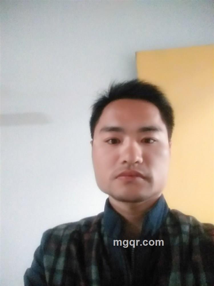 太阳下的脸颊的头像