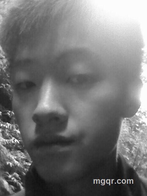 花格子衬衫的头像