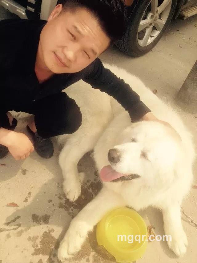 请打七两两伊零零七的头像