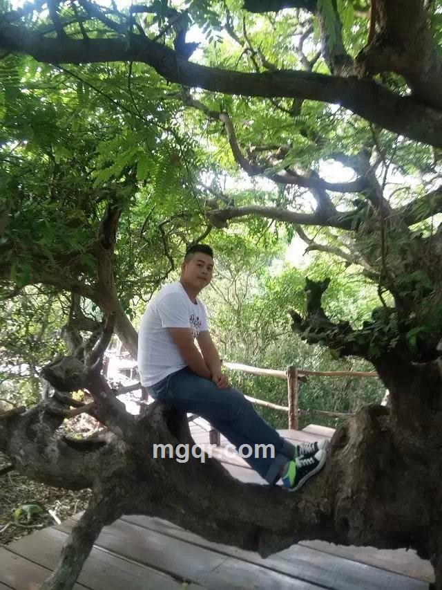 夜逛坟场的头像