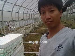 123向前冲的头像