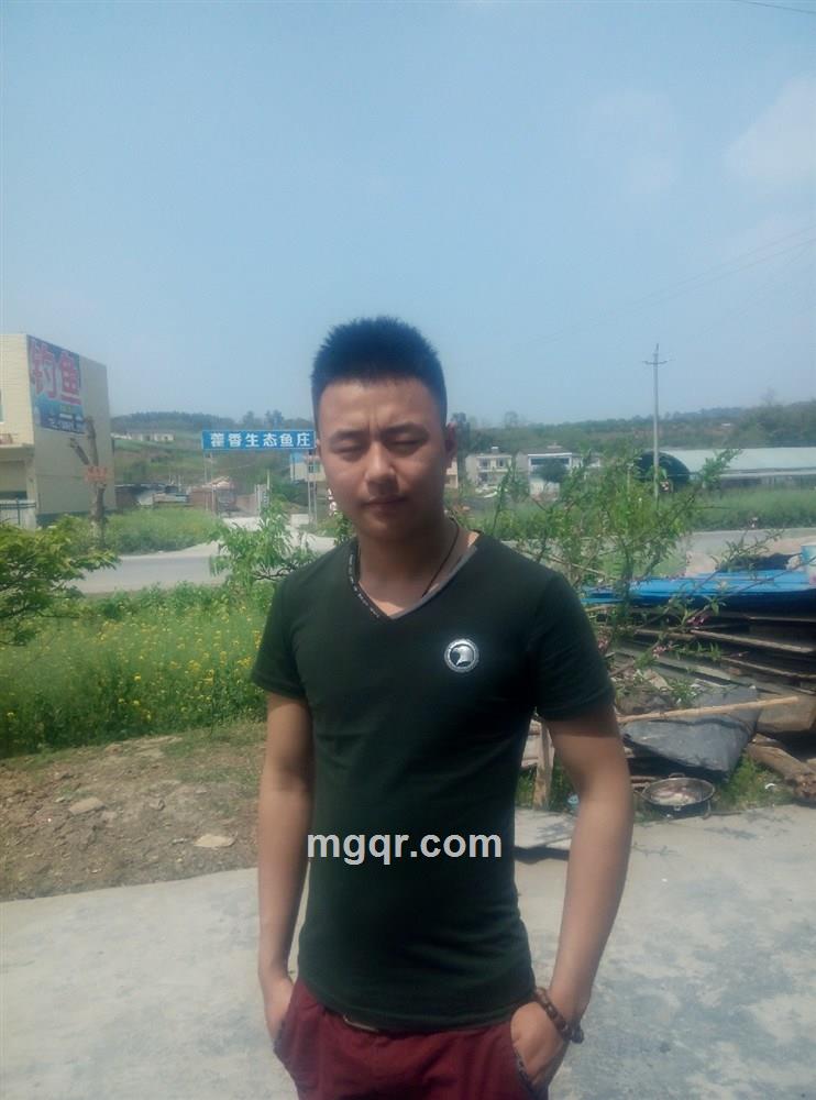 球球是二06669260五的头像