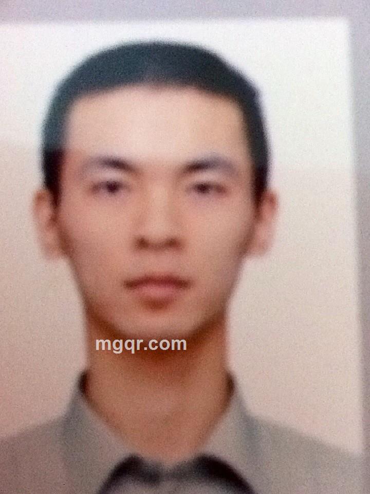 佐罗放风筝的头像
