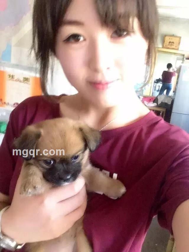 小清新31的头像