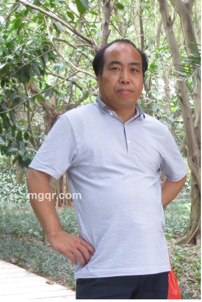 情随风传的头像