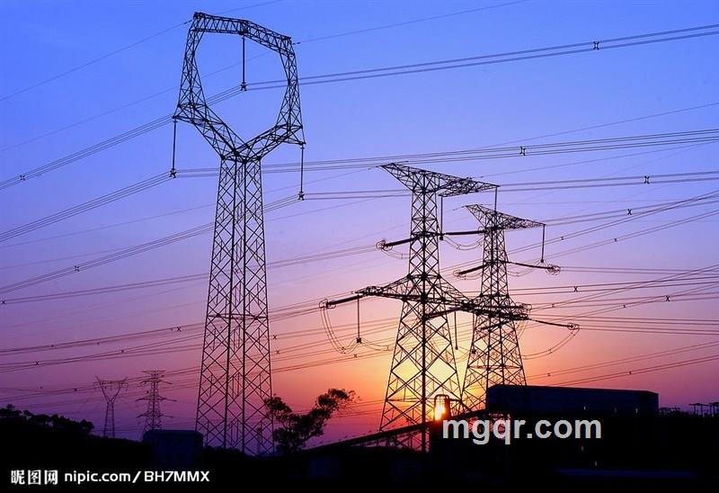 青蛙小金豆的头像