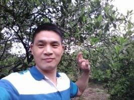 思念她人的头像