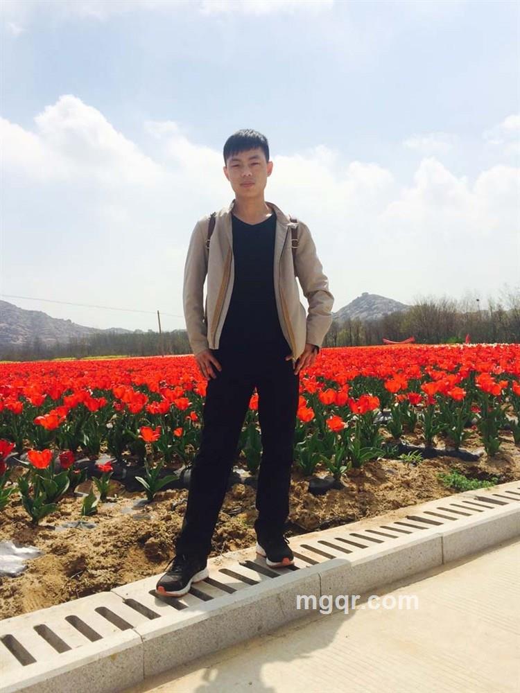 风从海上来。的头像