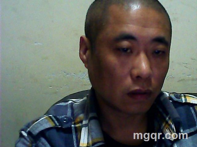 绿野仙踪的头像