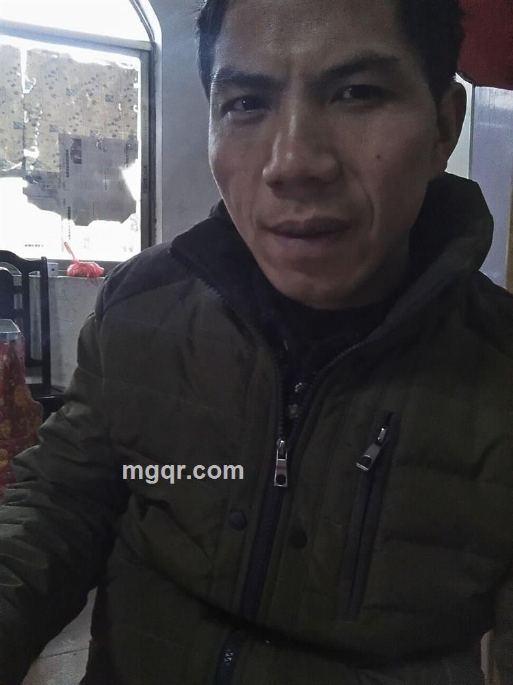 狐独的狼的头像