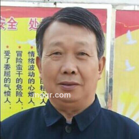 仙境雄鹰的头像