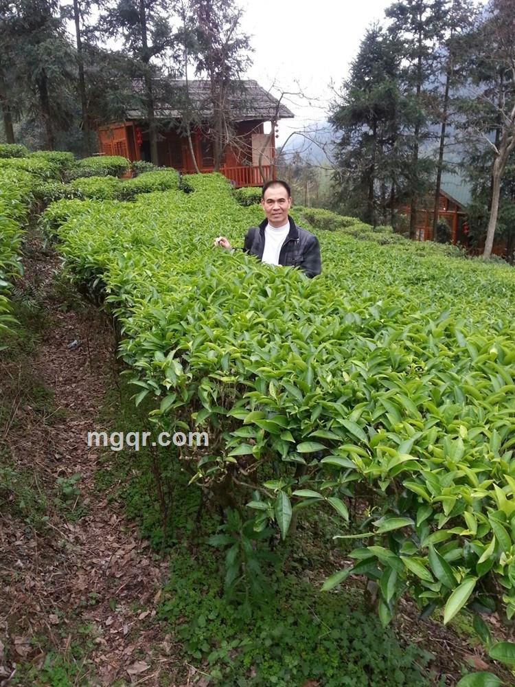白啟照的头像
