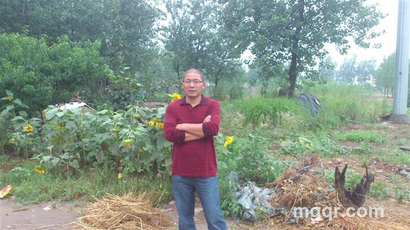 情似流沙的头像