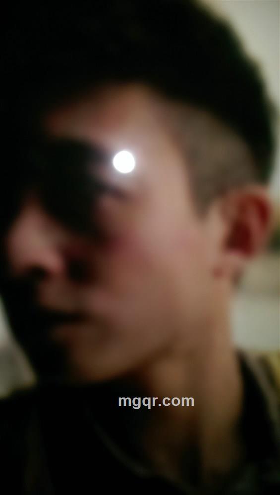 两只蝴蝶的头像