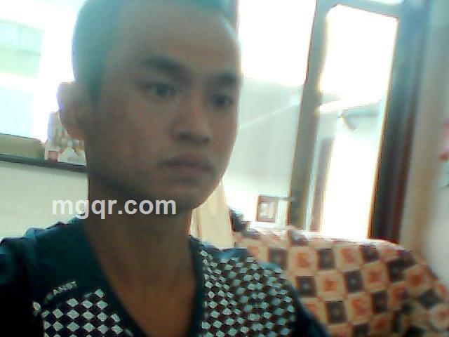 dongneifeng的头像