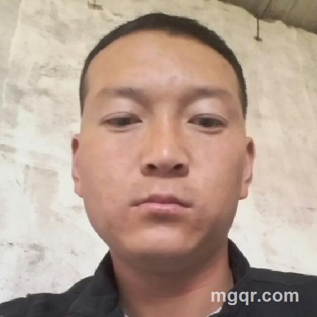 迷路野狼的头像