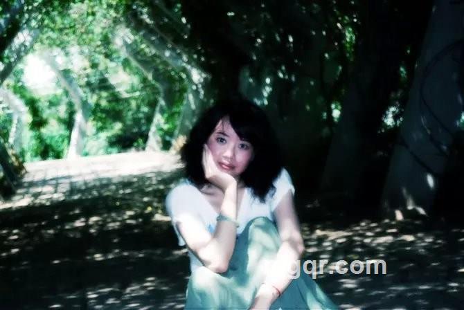 傲雪银竹的头像