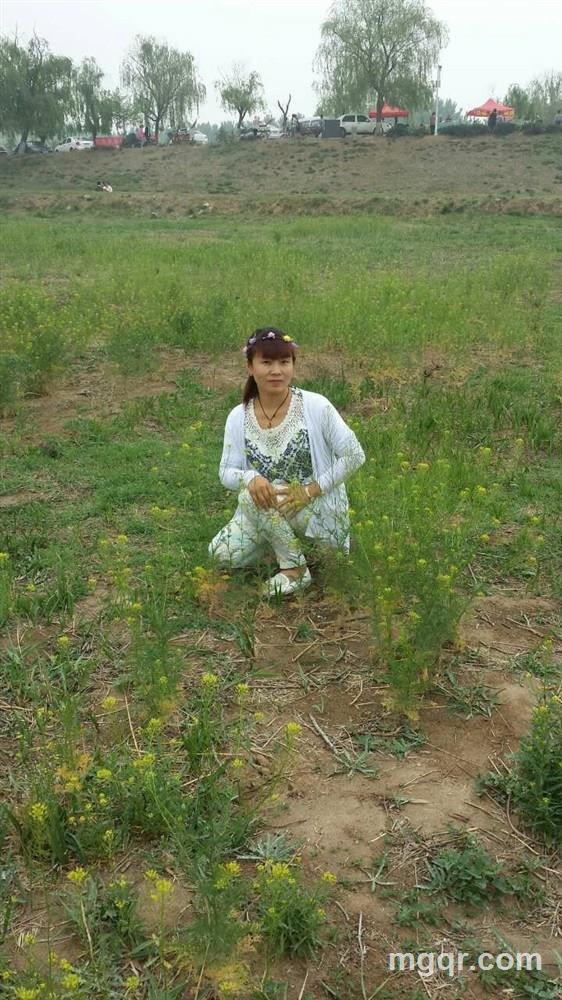 冰清如水的头像