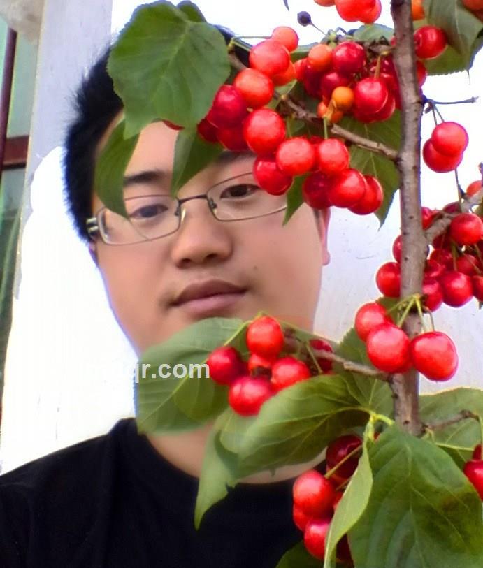 转身已经是遗忘的头像