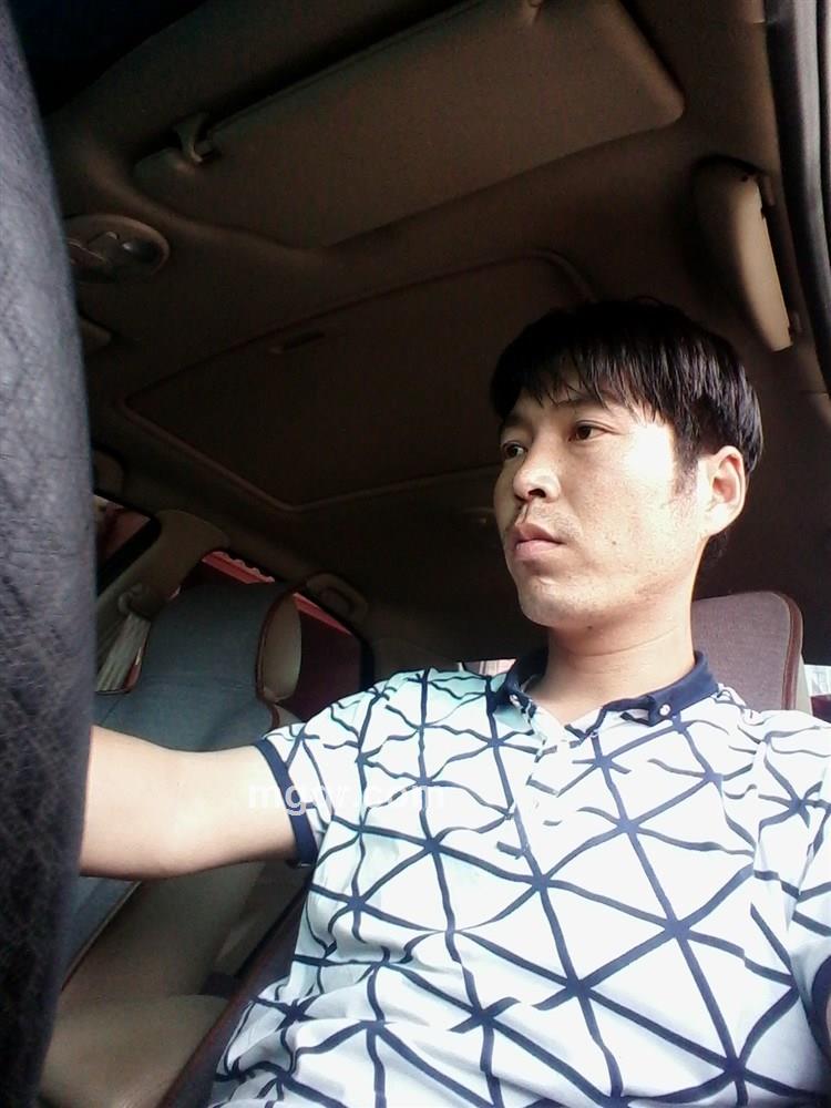 天若有情的头像