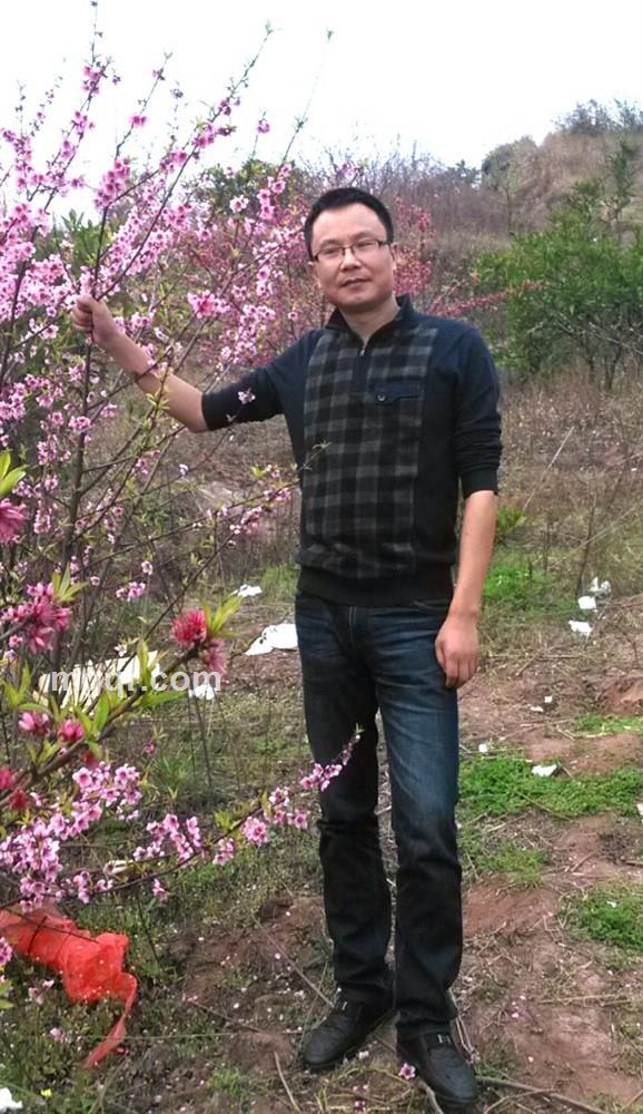 寻找心灵的地方的头像