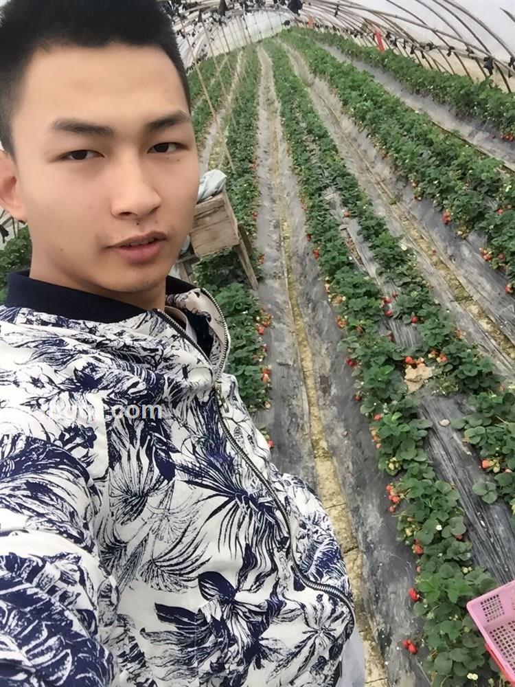 HanSongWang的头像