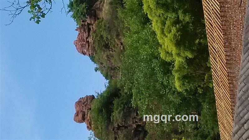 借洞暖暖鸟的头像