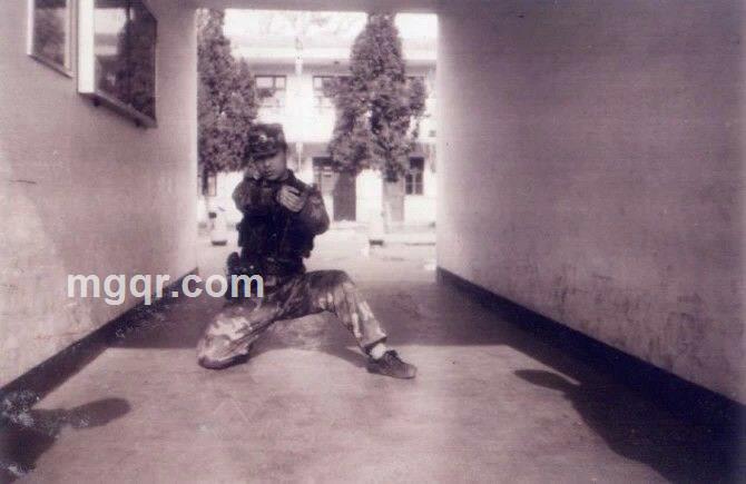 带翅的老虎的头像