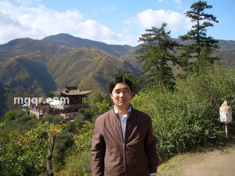 上飘的叶子的头像