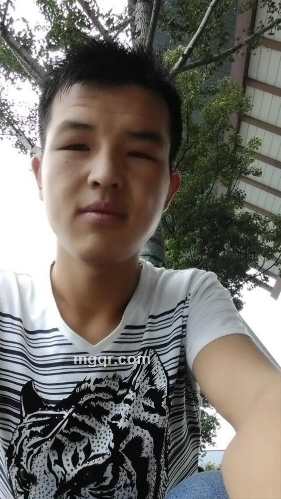 流泪的鱼的头像