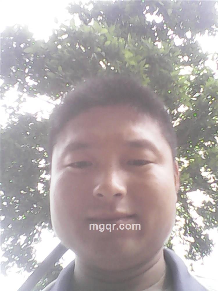 双宿双非的头像