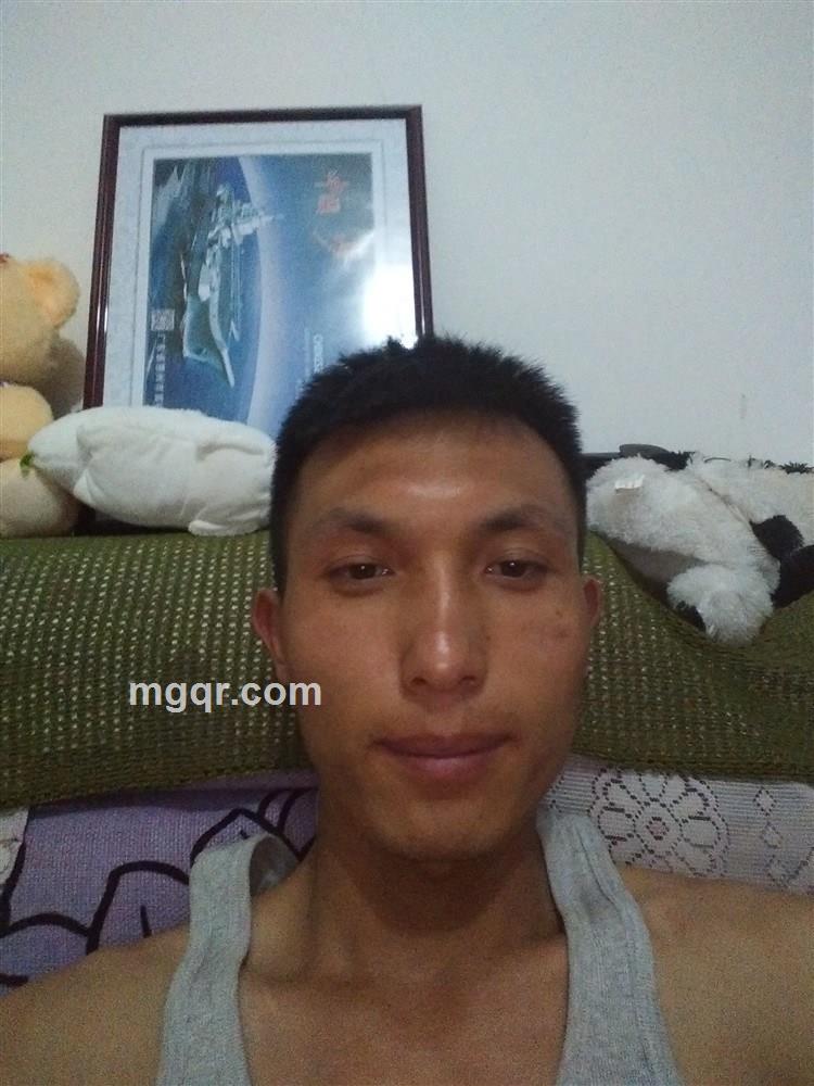 北极三眼狼的头像