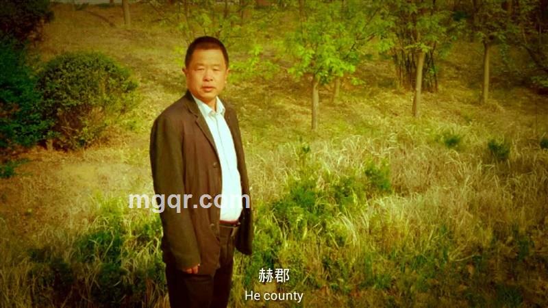 温暖的头像