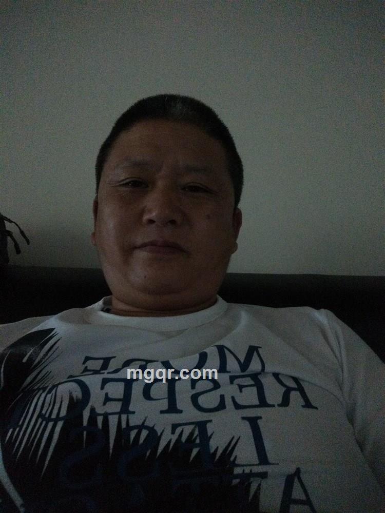 草原雄鹰的头像