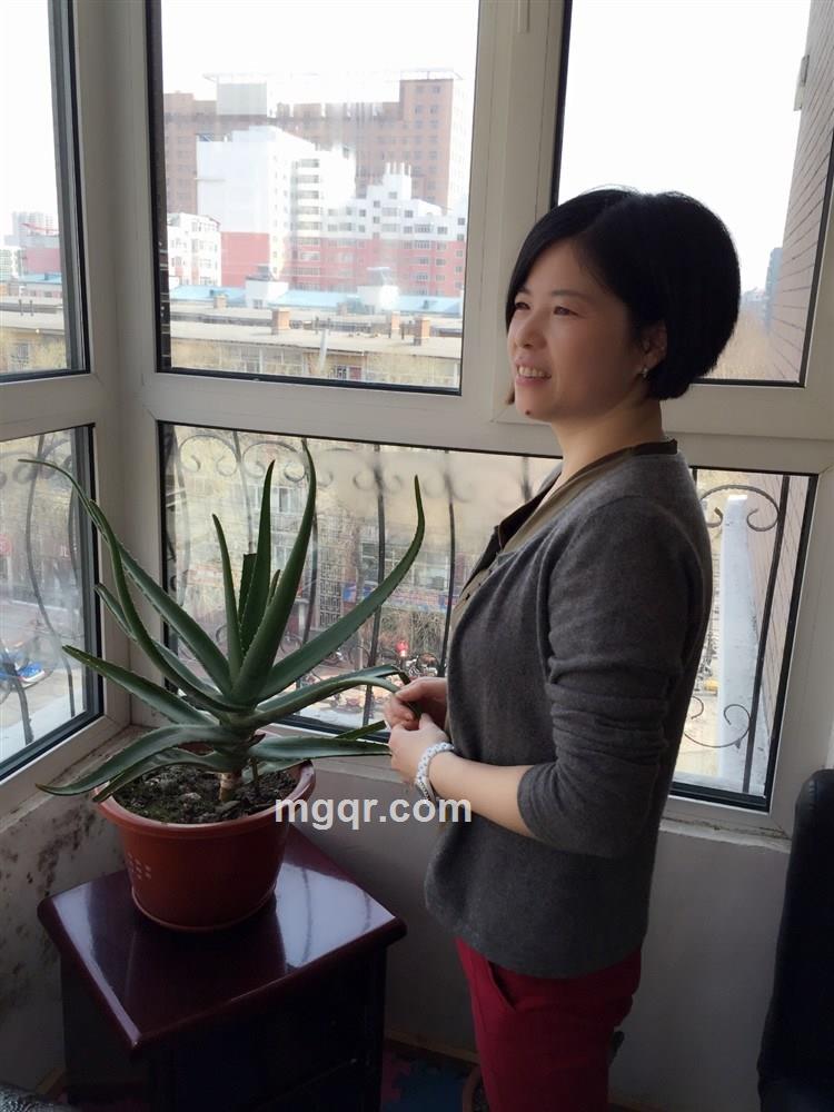 宁静致远的头像