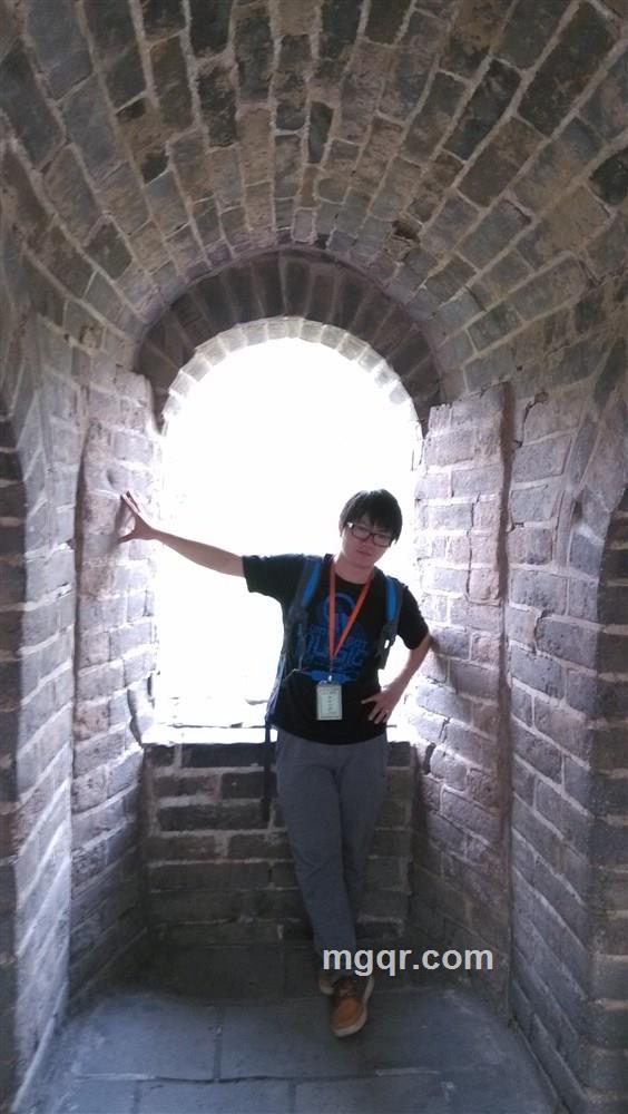 灰太狼007号的头像