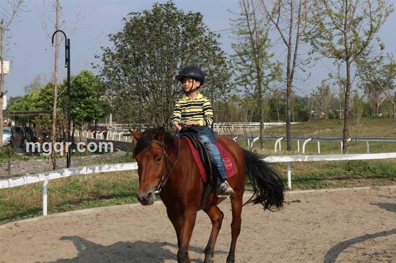 贴近你的脸的头像