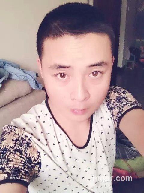 会员3527330的头像