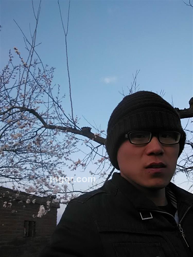 找爱爱找爱的头像