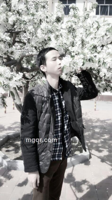 江南浪子的头像