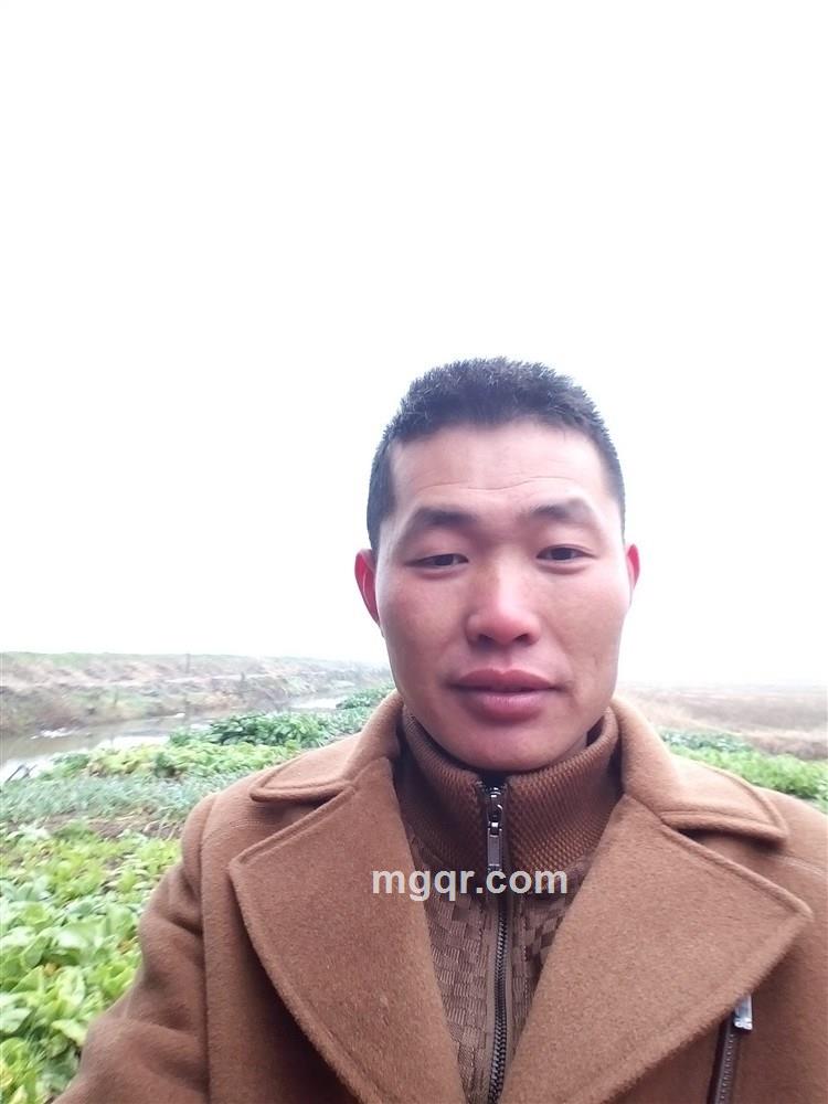 四海为家的头像