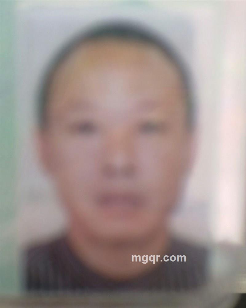 蝶影单舞的头像