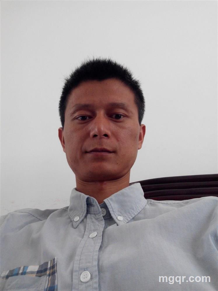 路遥知马力的头像