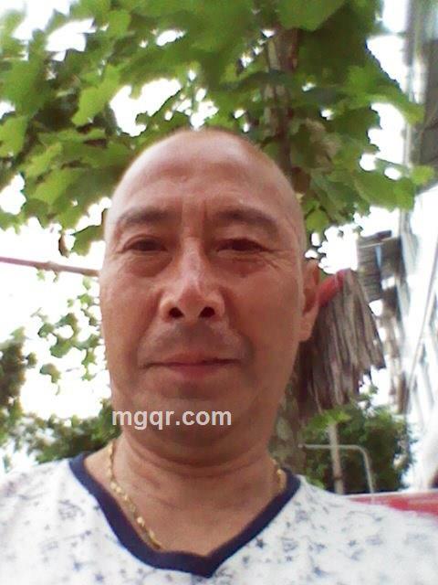 情归何处的头像