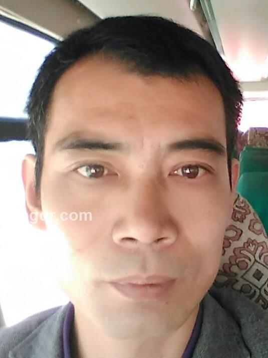 孤独的猪的头像