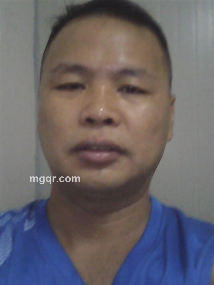 托花的绿叶的头像