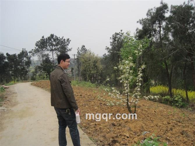 需要爱52的头像