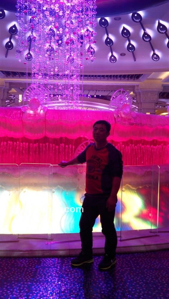 漂泊的心的头像